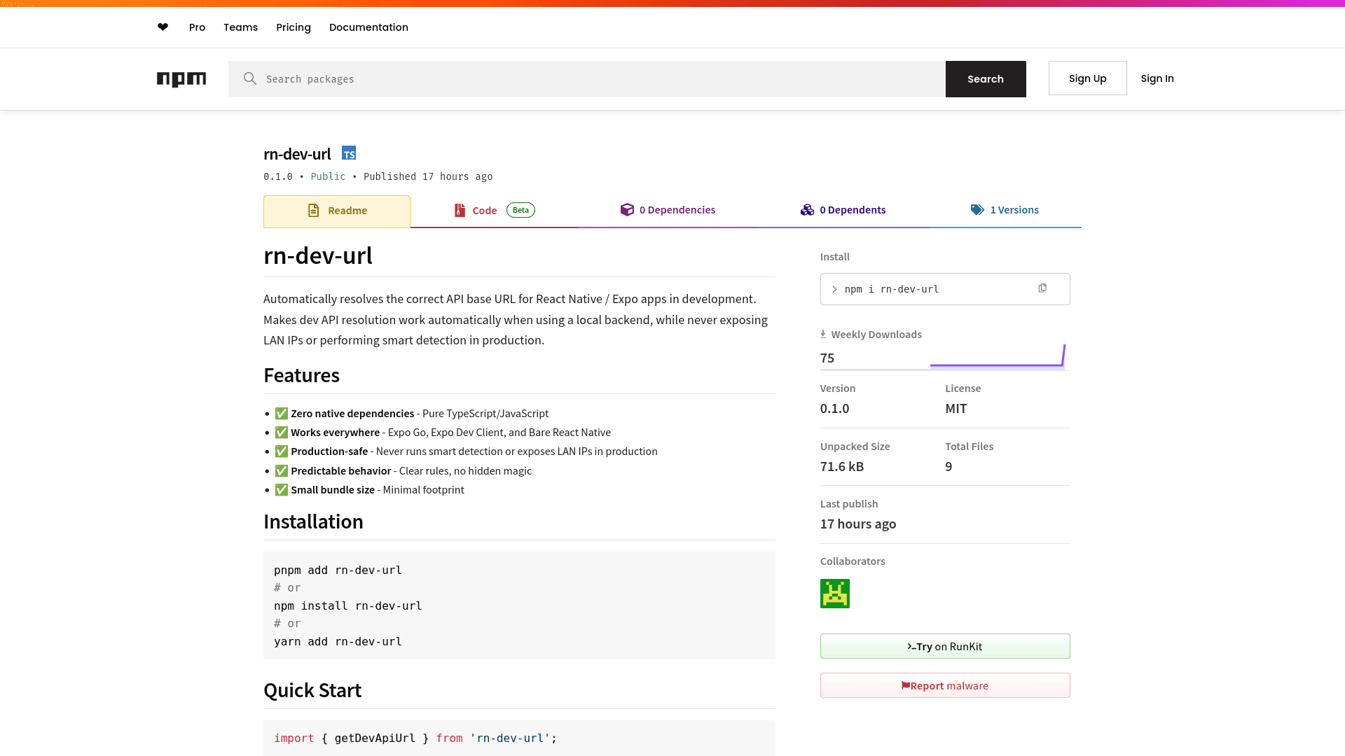 rn-dev-url - Additional project view 2